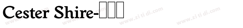 Cester Shire字体转换